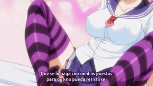 Okusama ga Seitokaichou!+! 